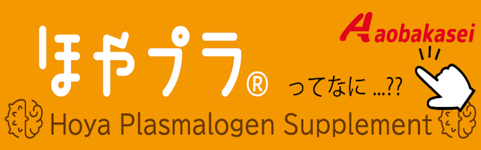 スポンサー10